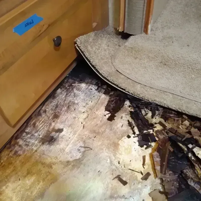 Wood Floor Water Damage in Farmer City, IL